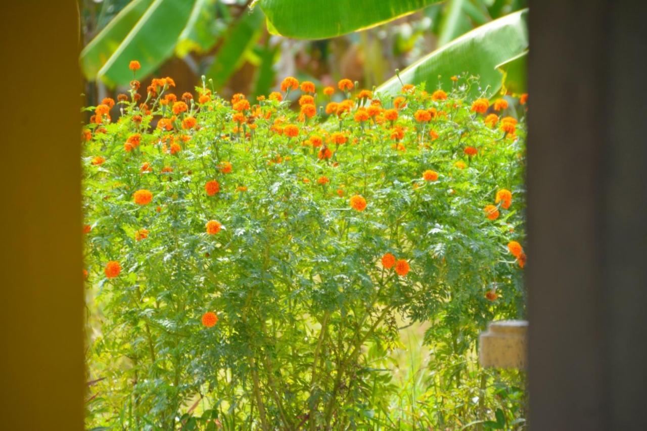 Malee Malee Guesthouse Koh Lanta Bagian luar foto